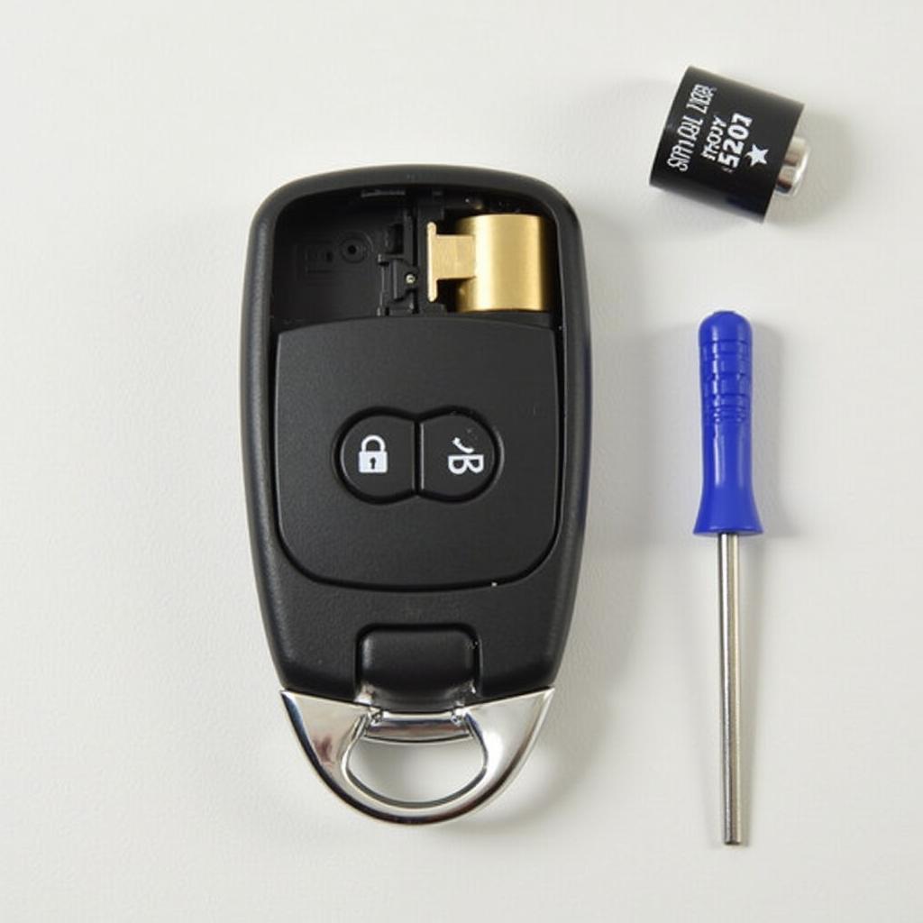 VW Touareg Key Fob Battery Replacement Step-by-Step